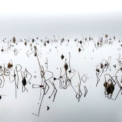 ASTRATTISMO LACUSTRE - a Photographic Art Artowrk by Ferruccio Pavesi